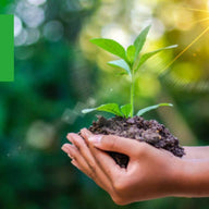 2025年分 森林保全への寄付のご報告