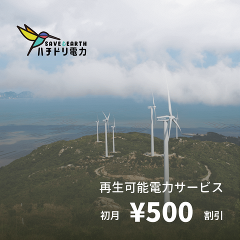 Electricity service using 100% natural energy with zero CO2 emissions